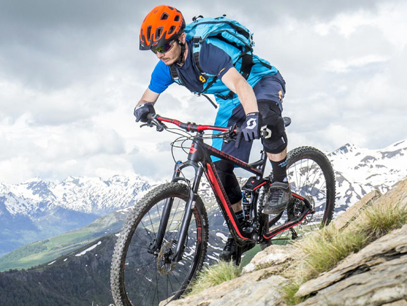 bergamont Bikes